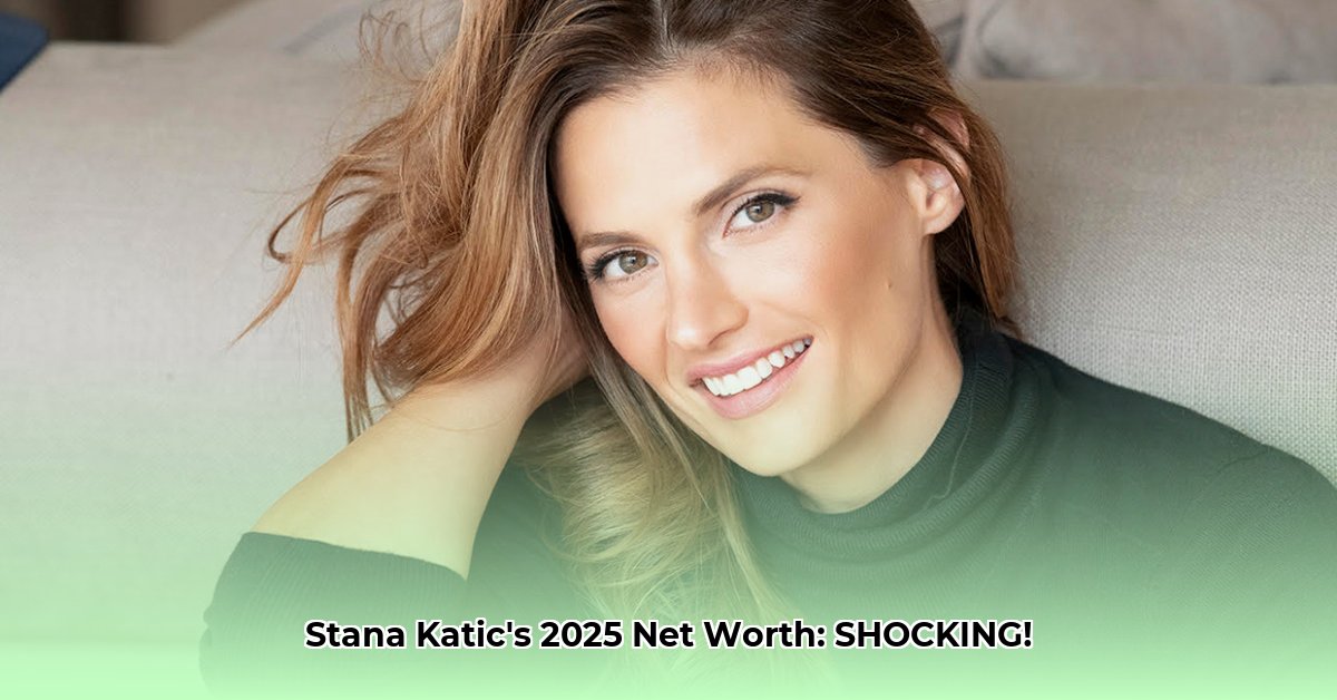 net-worth-of-stana-katic